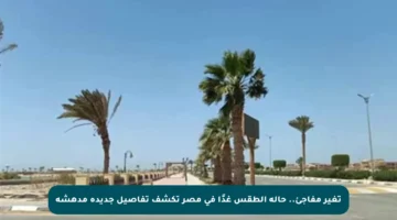 تغير مفاجئ.. حالة الطقس غدًا في مصر تكشف تفاصيل جديدة مدهشة